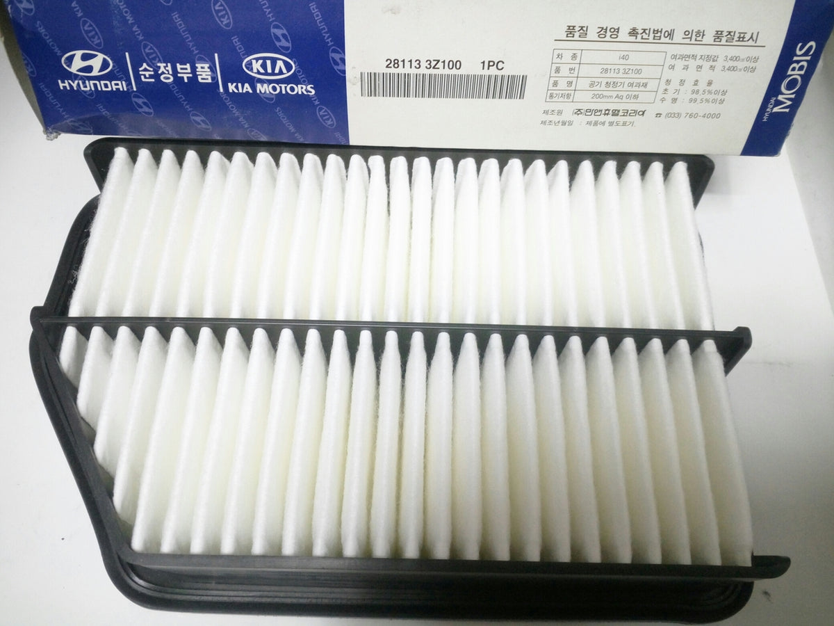 daizu 281133Z100 Genuine Air Cleaner Filter for Hyundai I40, Kia Carens
