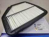 96628890 Genuine GM Air Filter for GM Winstorm