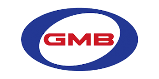 2523945001 GMB Cooling Fan Clutch for Hyundai Mighty2 96PS, 118PS, GWHY-22F