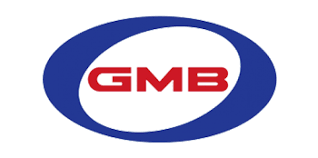 2523742650 GMB Cooling Fan Clutch for Hyundai Starex, Porter2. Libero, GWHY-45F